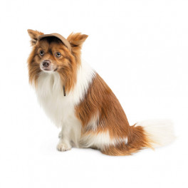 Кепка Phil ТМ Pet Fashion для собак ХL бежева
