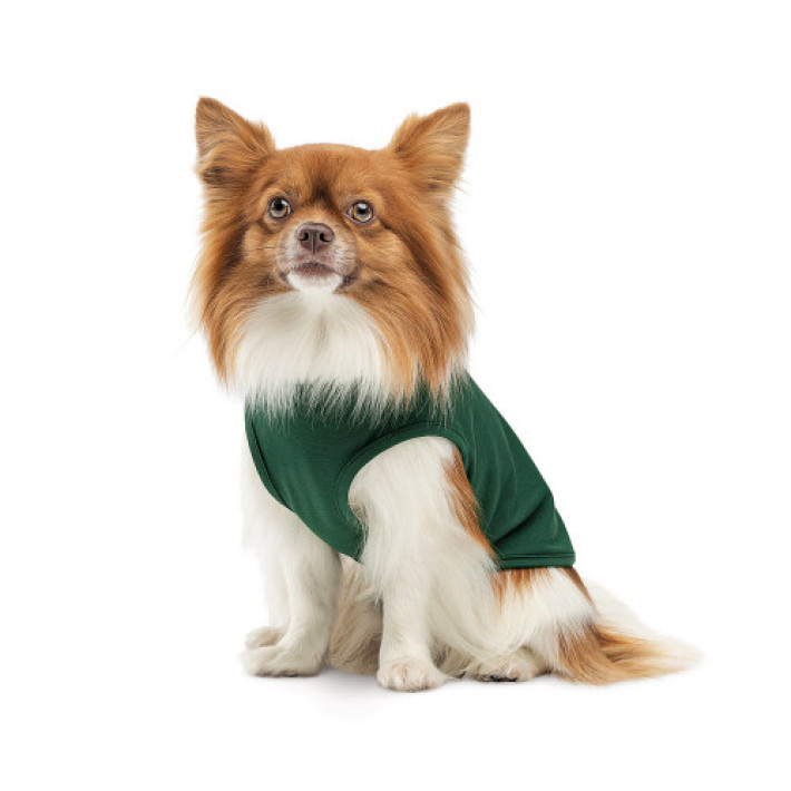Борцівка Kale ТМ Pet Fashion для собак XS2 зелена