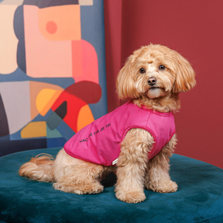 Борцівка Kale ТМ Pet Fashion для собак S малина