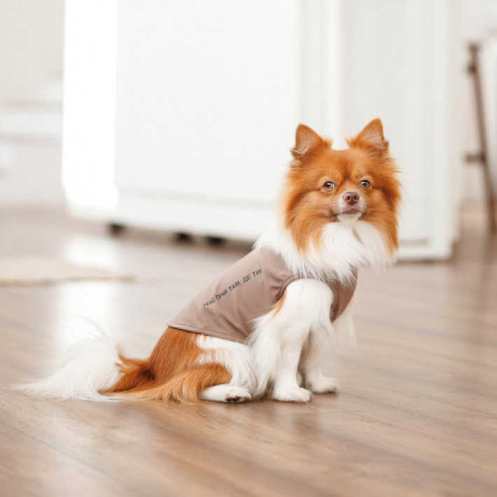 Борцівка Kale ТМ Pet Fashion для собак М коричнева