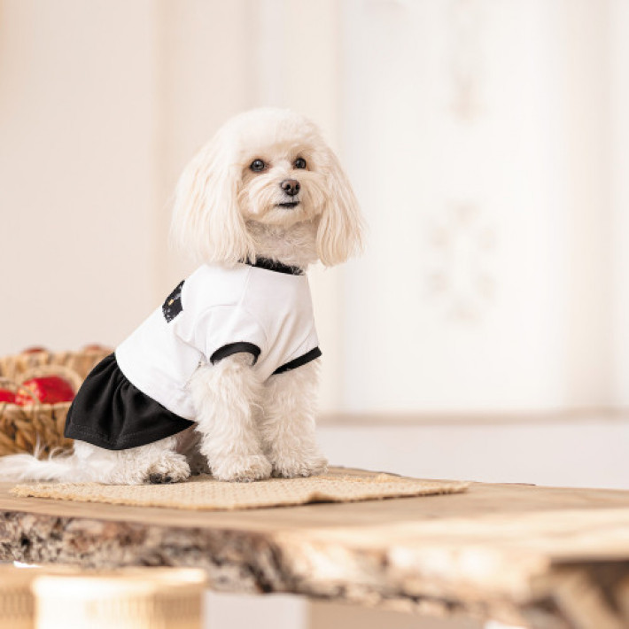 Сукня Chanti ТМ Pet Fashion для собак XS2 білий/чорний