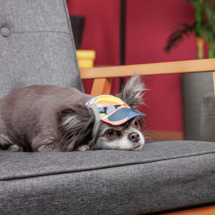 Кепка Tony ТМ Pet Fashion для собак ХL принт