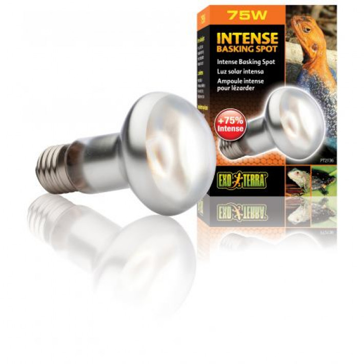 Рефлекторна лампа Exo Terra Intense Basking Spot для тераріумних тварин, денна, розжарювання, 75 W, E27 (для обігріву)